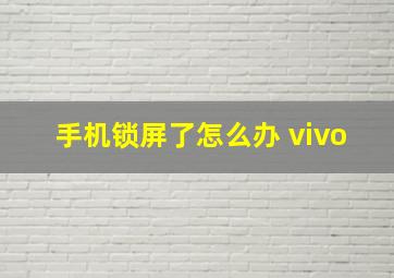 手机锁屏了怎么办 vivo